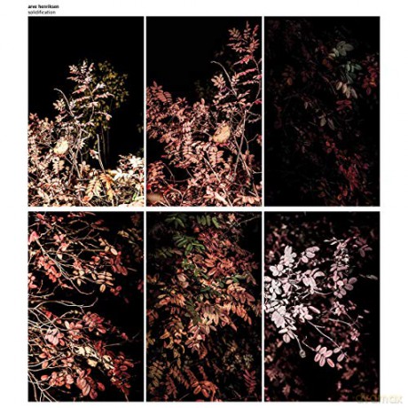 Arve Henriksen: Solidification [7xWinyl]