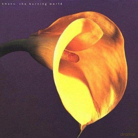Swans: The Burning World [Winyl]