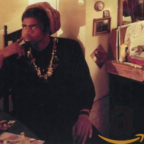 Fishbone: The Reality Of My Surroundings [CD]