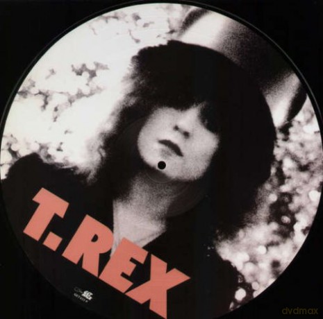 T.Rex (Tyrannosaurus Rex): The Slider [Winyl]