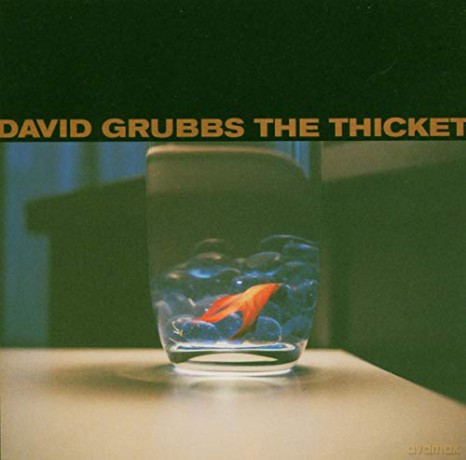 David Grubbs: The Thicket [CD]