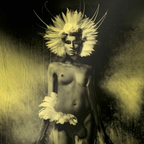 Unkle: Where Did The Night Fall Limited Edition [2CD]