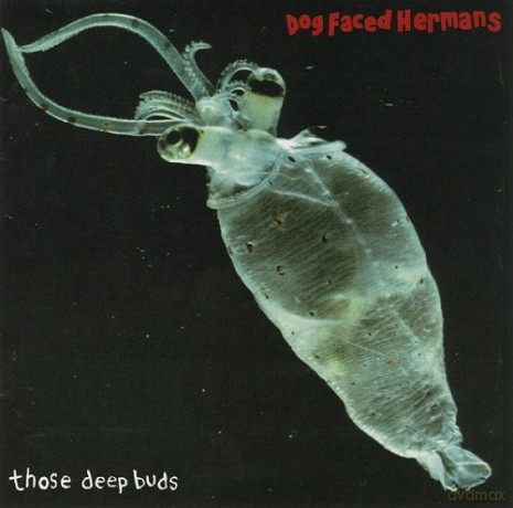 Dog Faced Hermans: Those Deep Buds [CD]