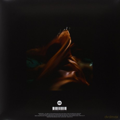 Flying Lotus: Until The Quiet Comes [2xWINYL]