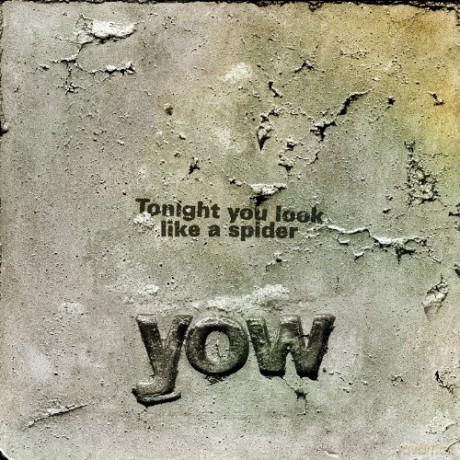 David Yow: Tonight You Look Like A Spider [Winyl]