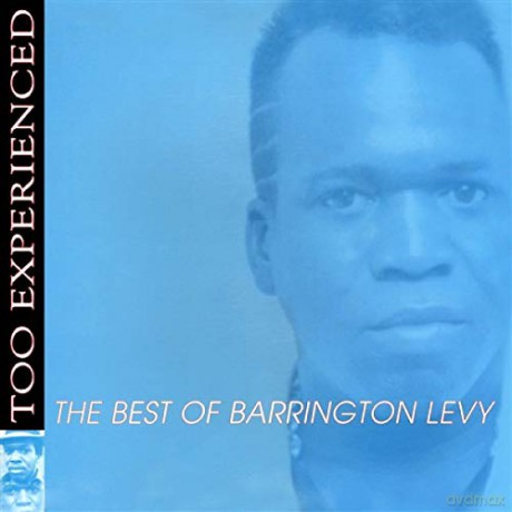 Barrington Levy: Too Experienced... The Best Of Barrington Levy [Winyl]
