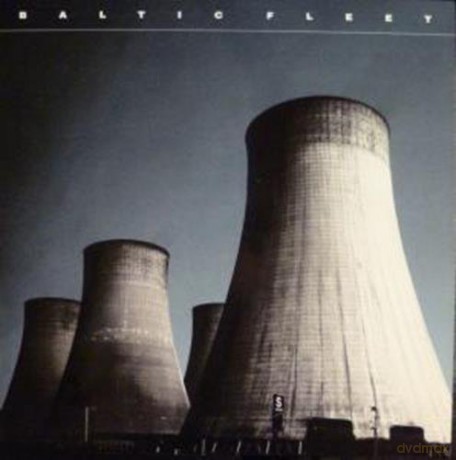 Baltic Fleet: Towers [Winyl]