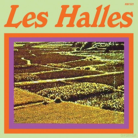 Les Halles: Transcient [Winyl]