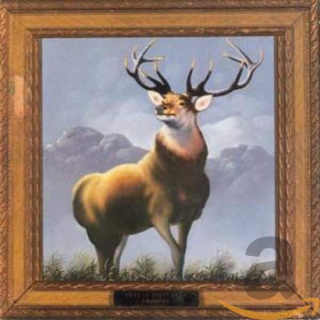 Killdozer: Twelve Point Buck [CD]