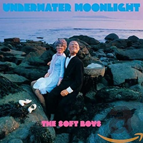 The Soft Boys: Underwater Moonlight [CD]