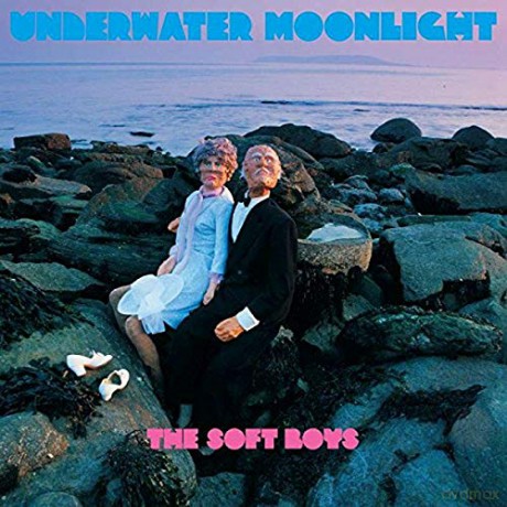 The Soft Boys: Underwater Moonlight [Winyl]