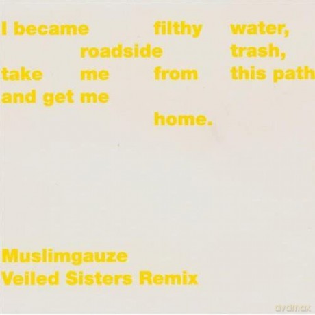 Muslimgauze: Veiled Sisters Remix [CD]