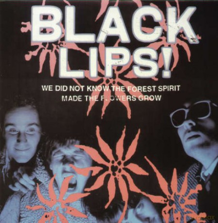 The Black Lips!: We Did Not Know Theforest Spirit Made The... [CD]