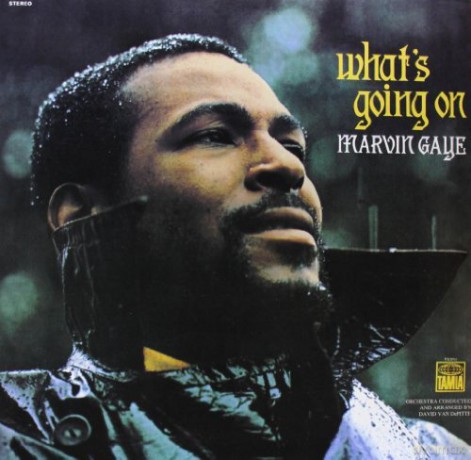Marvin Gaye: What's Going On [Winyl]