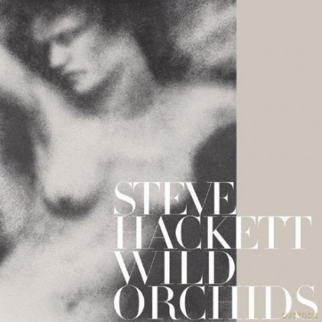 Steve Hackett: Wild Orchids [CD]