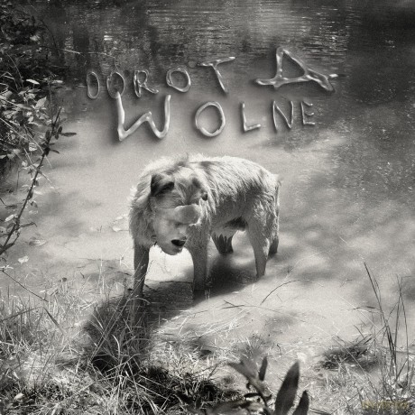 Dorota Masłowska: Dorota Wolne [CD]
