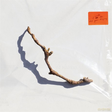 PJ Harvey: I Inside the Old Year Dying  [CD]