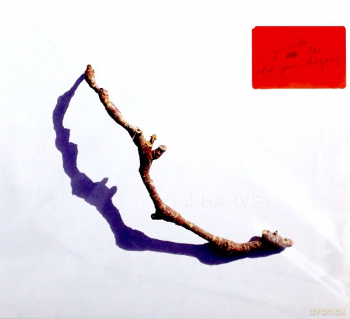 PJ Harvey: I Inside the Old Year Dying  [CD]