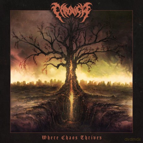Chronicle: Where Chaos Thrives [CD]