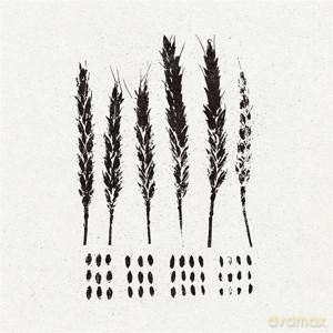 Lo!: The Gleaners [CD]