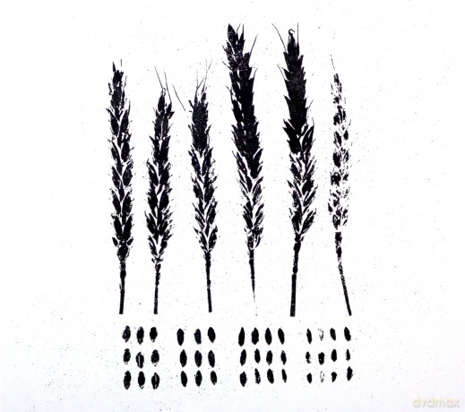 Lo!: The Gleaners [CD]