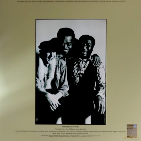 Muddy Waters: Hard Again [Winyl]