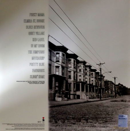 Danny Gatton: 88 Elmira Street [Winyl]