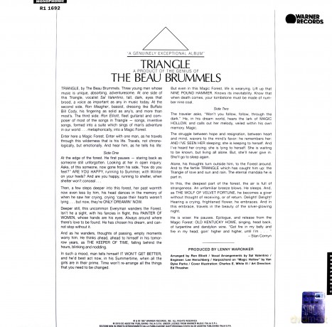 The Beau Brummels: Triangle [Winyl]