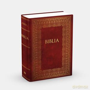 Biblia Domowa bez obwoluty [KSIĄŻKA]