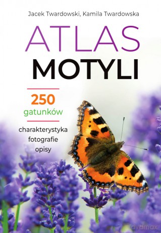 Atlas motyli - Kamila Twardowska, Jacek Twardowski [KSIĄŻKA]
