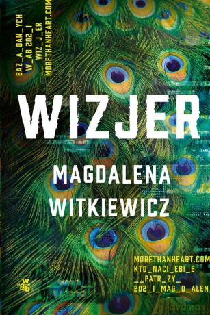 Wizjer wyd. specjalne - Magdalena Witkiewicz [KSIĄŻKA]