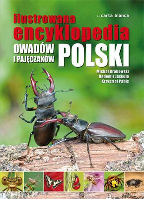 Ilustrowana Encyklopedia Owadów I Pajęczaków Tw - Michał Grabowski, Radomir Jaskóła, Krzysztof Pabis [KSIĄŻKA]