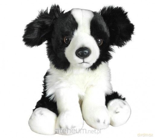 Border Collie 30 cm