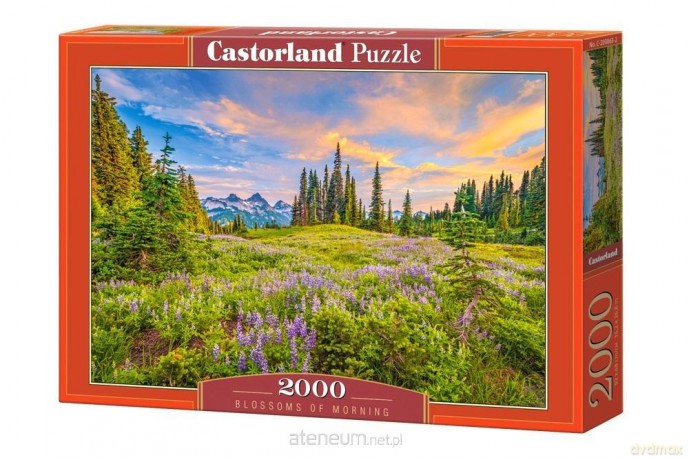 CASTORLAND 2000 el. Blossoms of Morning [PUZZLE]