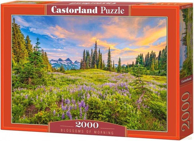 CASTORLAND 2000 el. Blossoms of Morning [PUZZLE]
