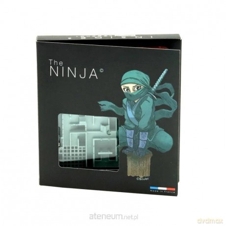 Inside 3 The Ninja IUVI Games [GRA]