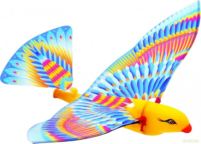 Latający ptaszek - Tim