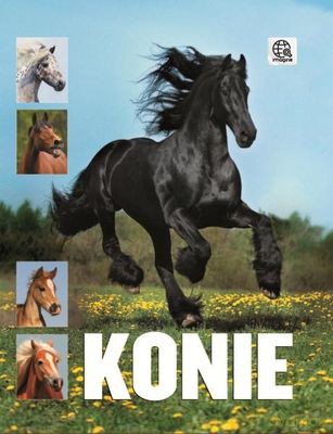 Konie Seria Imagine Tw [KSIĄŻKA]