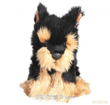 Morkie 30 cm