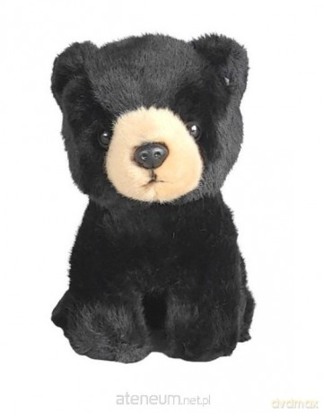 Niedźwiadek czarny 19 cm