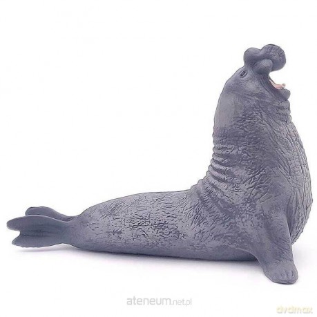 Słoń morski [FIGURKA]
