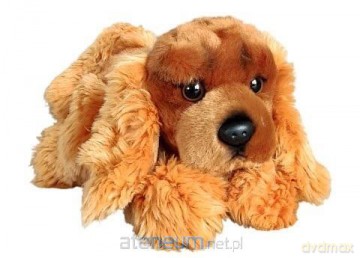 Spaniel 30 cm