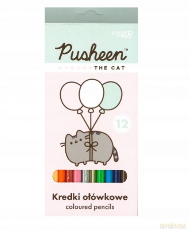 Kredki 12 kolorów 18 cm pudełko PUSHEEN mkmn