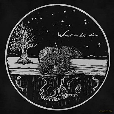 Wind In His Hair: Future Primitives [CD]