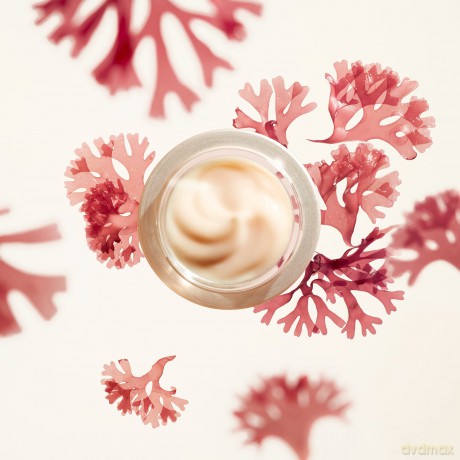 Shiseido Benefiance Wrinkle Smoothing Cream 50ml