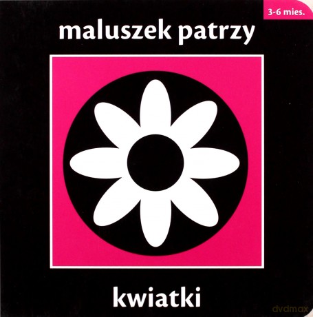 Maluszek Patrzy Kwiatki Tw - Chez Picthall [KSIĄŻKA]