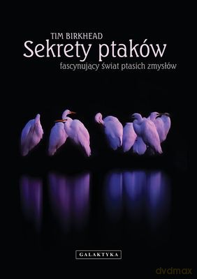 Sekrety Ptaków Fascynujący Świat Ptasich Zmysłów - Włodzimierz Stanisławski [KSIĄŻKA]
