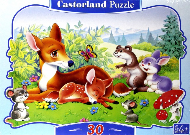 CASTOR 30 Sarenka 03068 [PUZZLE]