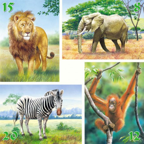 CASTOR 4w1 8-20 Zwierzęta Dżungli 04072 [PUZZLE]