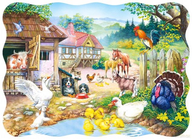 CASTOR 30 Farma 03136 [PUZZLE]